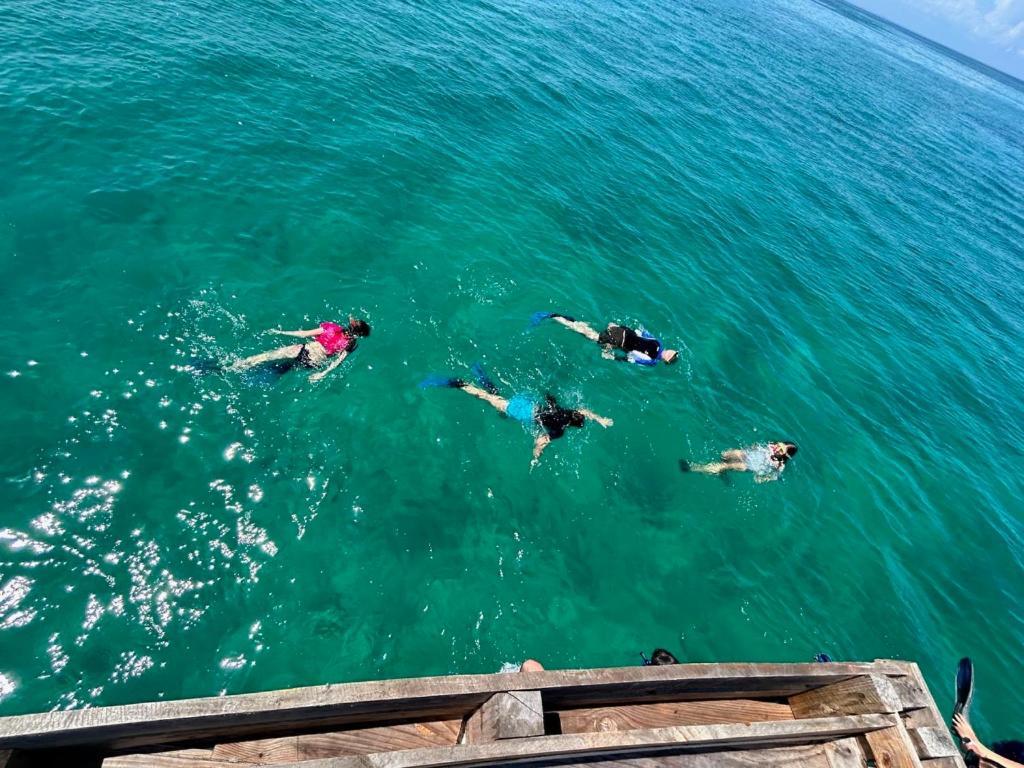 Kiwengwa Bungalow Boutique Resort Ngoại thất bức ảnh